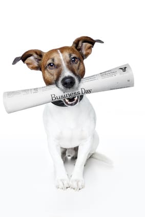 dog bringing newspaper